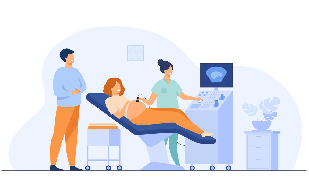 Echographie gynécologique sage femme